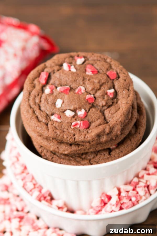 10 Recipes You Need to Pin Now 2 Peppermint Chip Chocolate Cookies ohsweetbasil.com
