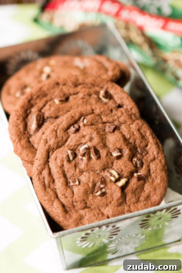 10 Recipes You Need to Pin Now 3 andes-mint-chocolate-cookies-ohsweetbasil.com-2