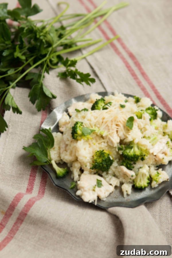 Easy slow cooker chicken alfredo rice casserole ohsweetbasil.com pressure coooker, crockpot, insta pot