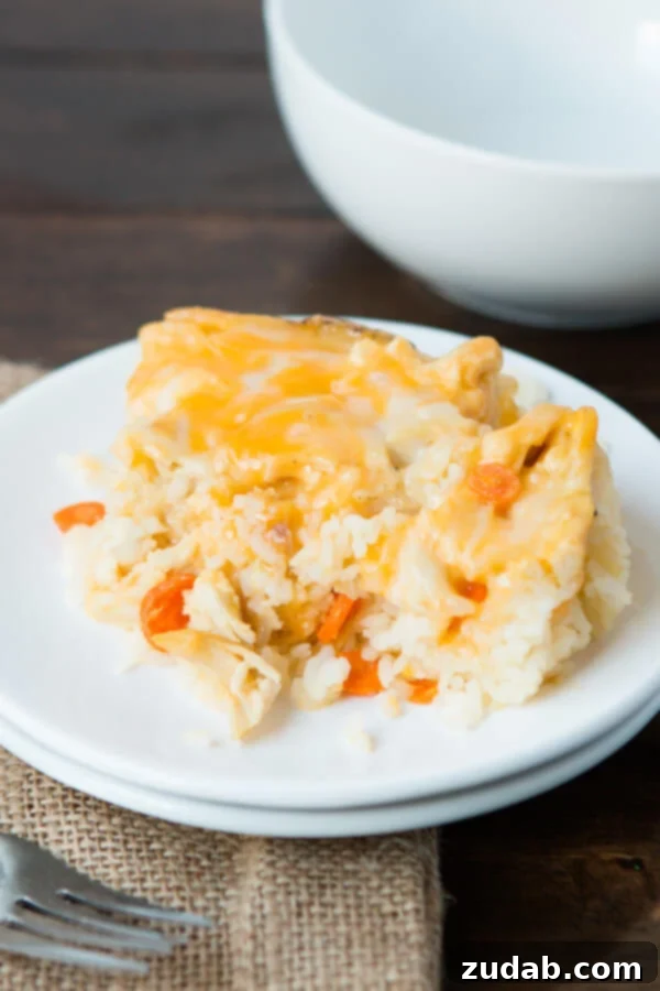 quick and easy chicken and rice casserole recipe ohsweetbasil.com