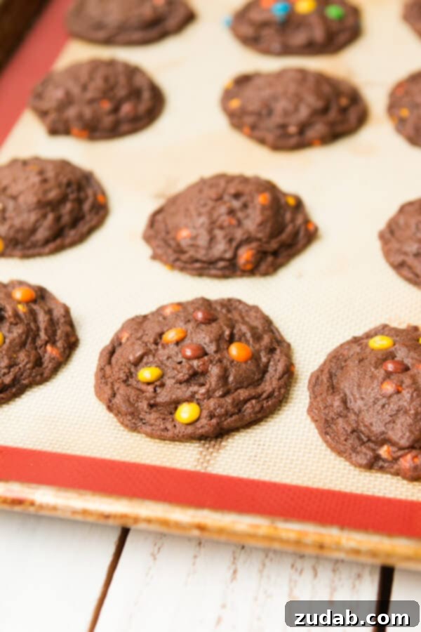 I can't eat these fast enough! Chocolate Reese's Pieces Cookies ohsweetbasil.com A close-up shot of the irresistible Chocolate Reese's Pieces Cookies, captioned 'I can't eat these fast enough! Chocolate Reese's Pieces Cookies ohsweetbasil.com'
