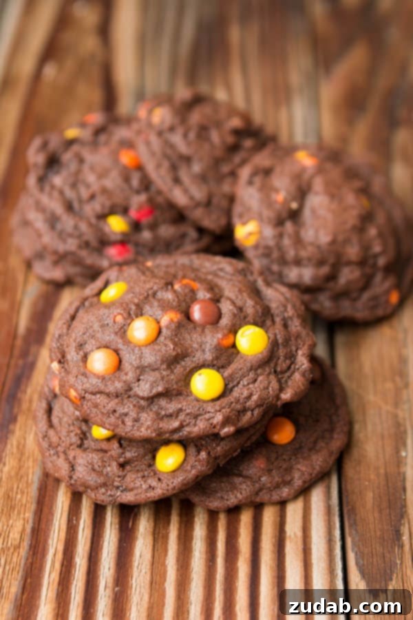 I can't eat these fast enough! Chocolate Reese's Pieces Cookies ohsweetbasil.com An overhead view of the decadent Chocolate Reese's Pieces Cookies, with the caption 'I can't eat these fast enough! Chocolate Reese's Pieces Cookies ohsweetbasil.com'