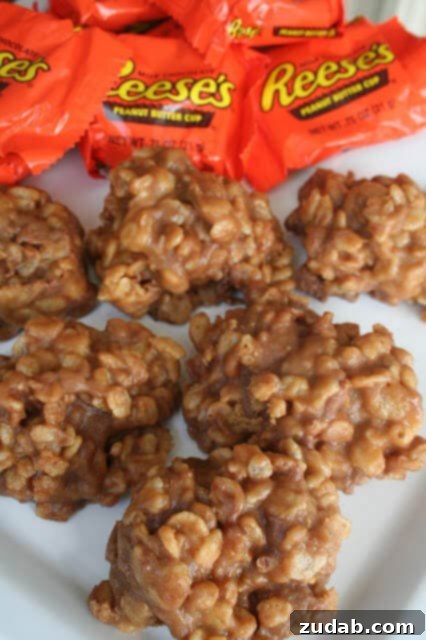 Reese's Triple Chocolate Cookies 11 A tempting photo of Reese's Krispies, a treat from ohsweetbasil.com.
