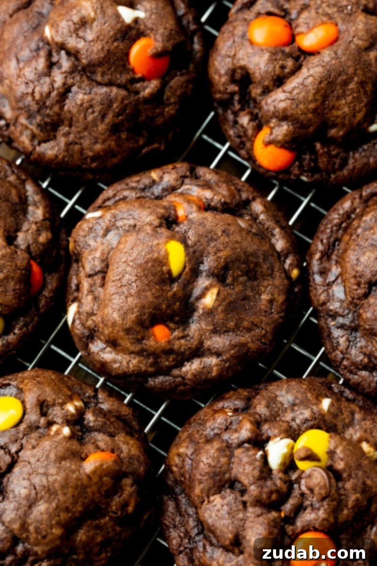 Reese's Triple Chocolate Cookies 3 A close-up photo of several thick and perfectly baked Reese's Triple Chocolate Cookies cooling on a wire rack, showing their rich chocolate color and generous mix-ins.