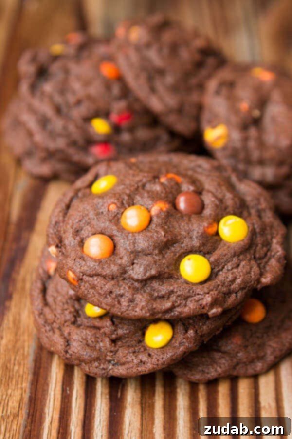 I can't eat these fast enough! Chocolate Reese's Pieces Cookies ohsweetbasil.com A vibrant photo of several Reese's Triple Chocolate Cookies, emphasizing their deliciousness, with the caption 'I can't eat these fast enough! Chocolate Reese's Pieces Cookies ohsweetbasil.com'