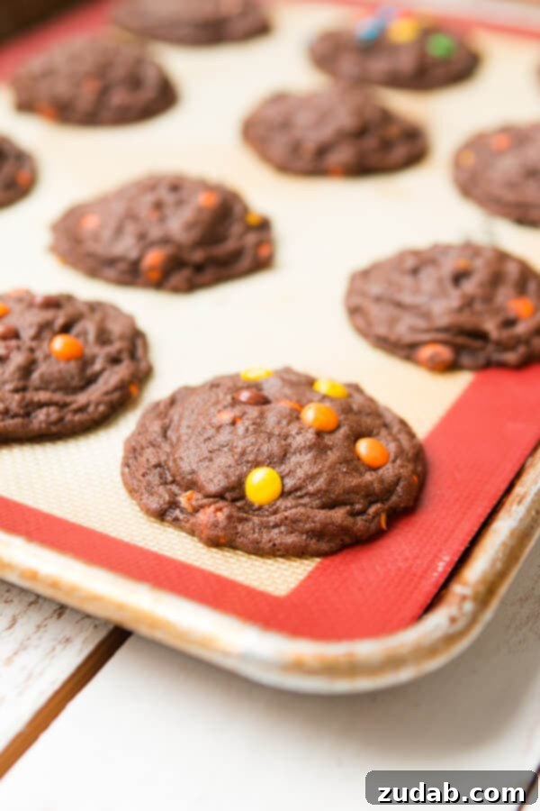 I can't eat these fast enough! Chocolate Reese's Pieces Cookies ohsweetbasil.com Another enticing photo of Reese's Triple Chocolate Cookies, highlighting their rich texture and mix-ins, captioned 'I can't eat these fast enough! Chocolate Reese's Pieces Cookies ohsweetbasil.com'