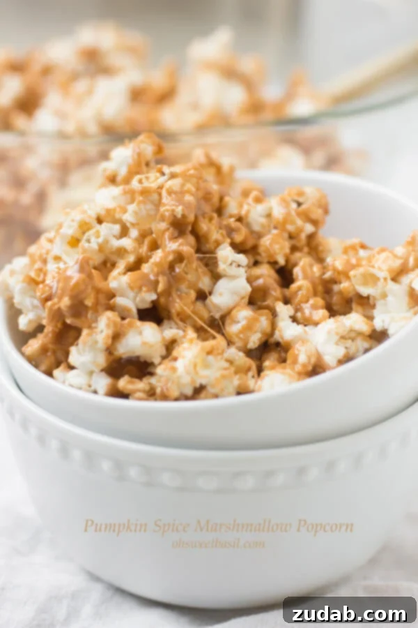 Cinnamon Churro Popcorn 6 Pumpkin Spice Marshmallow Popcorn, an autumnal treat, presented in a festive bowl, perfect for family night.