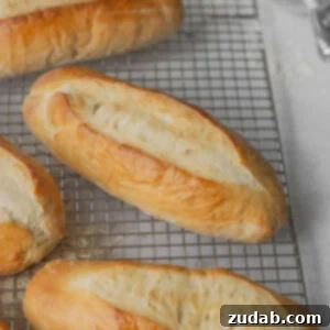 Homemade Hoagie Rolls Made Easy 6 img 14898 5