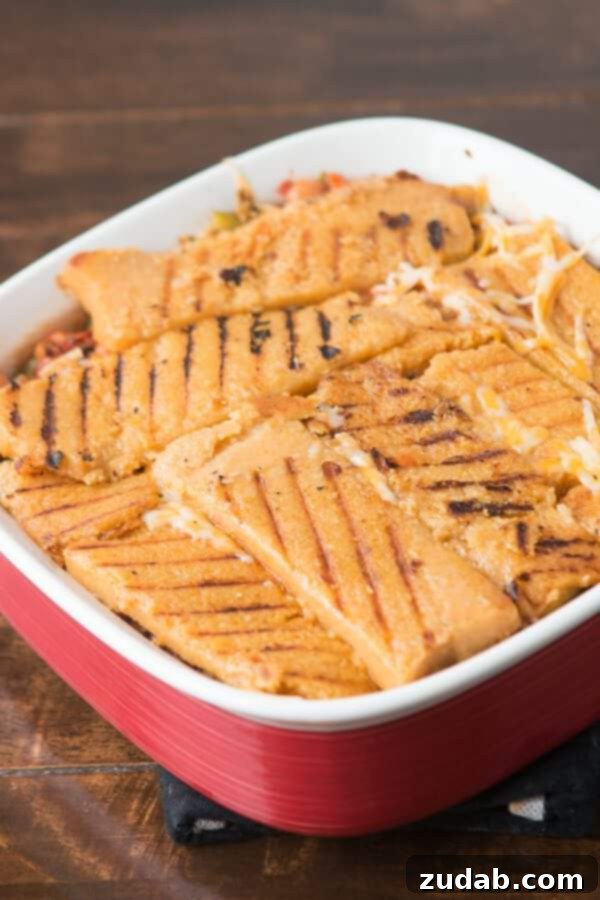 Easy Polenta Enchilada Vegetarian Lasagna - Family meal inspiration