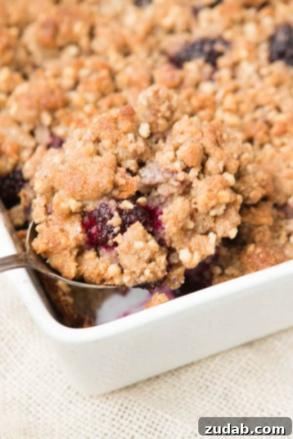 Perfectly baked blackberry cobbler oatmeal, ideal for a healthy and satisfying breakfast. Blackberry cobbler baked oatmeal with walnut crumble. It's like dessert for breakfast but way healthier. ohsweetbasil.com