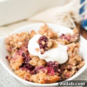 Kids-friendly blackberry cobbler baked oatmeal, a healthy breakfast that tastes like dessert. Our kids love that this blackberry cobbler baked oatmeal fills them up and tastes like dessert for breakfast ohsweetbasil.com (plus it's healthier!)