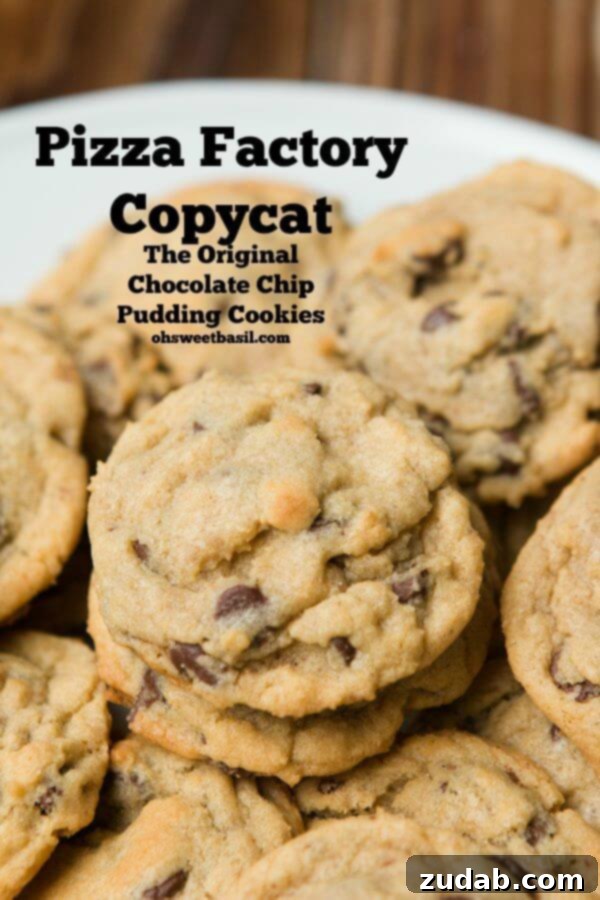 Homemade Vegetarian Bombay House Tikka Masala 5 Chocolate Chip Pudding Cookies - Pizza Factory Copycat recipe. Soft, chewy, and perfectly sweet cookies that taste just like your favorite restaurant treat.