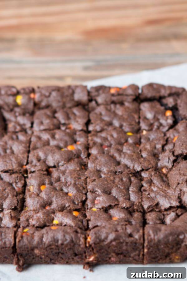 Easy Triple Fudge Reese's Brownies ohsweetbasil.com Irresistibly Fudgy Triple Fudge Reese's Brownies, packed with chocolate and peanut butter flavor, perfect for any occasion. ohsweetbasil.com