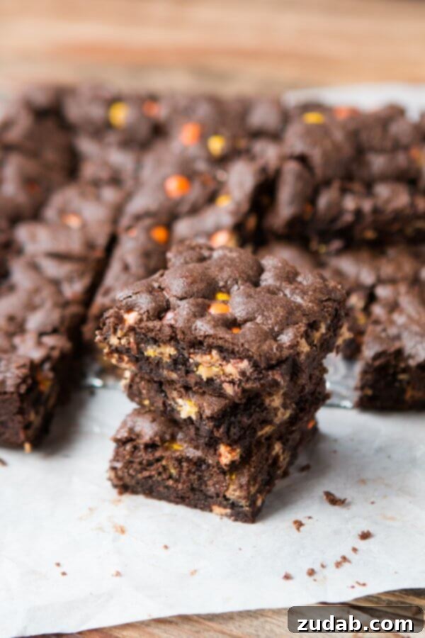 Triple Fudge Reese's Brownies ohsweetbasil.com Delicious Triple Fudge Reese's Brownies, loaded with flavor and easy to bake. ohsweetbasil.com