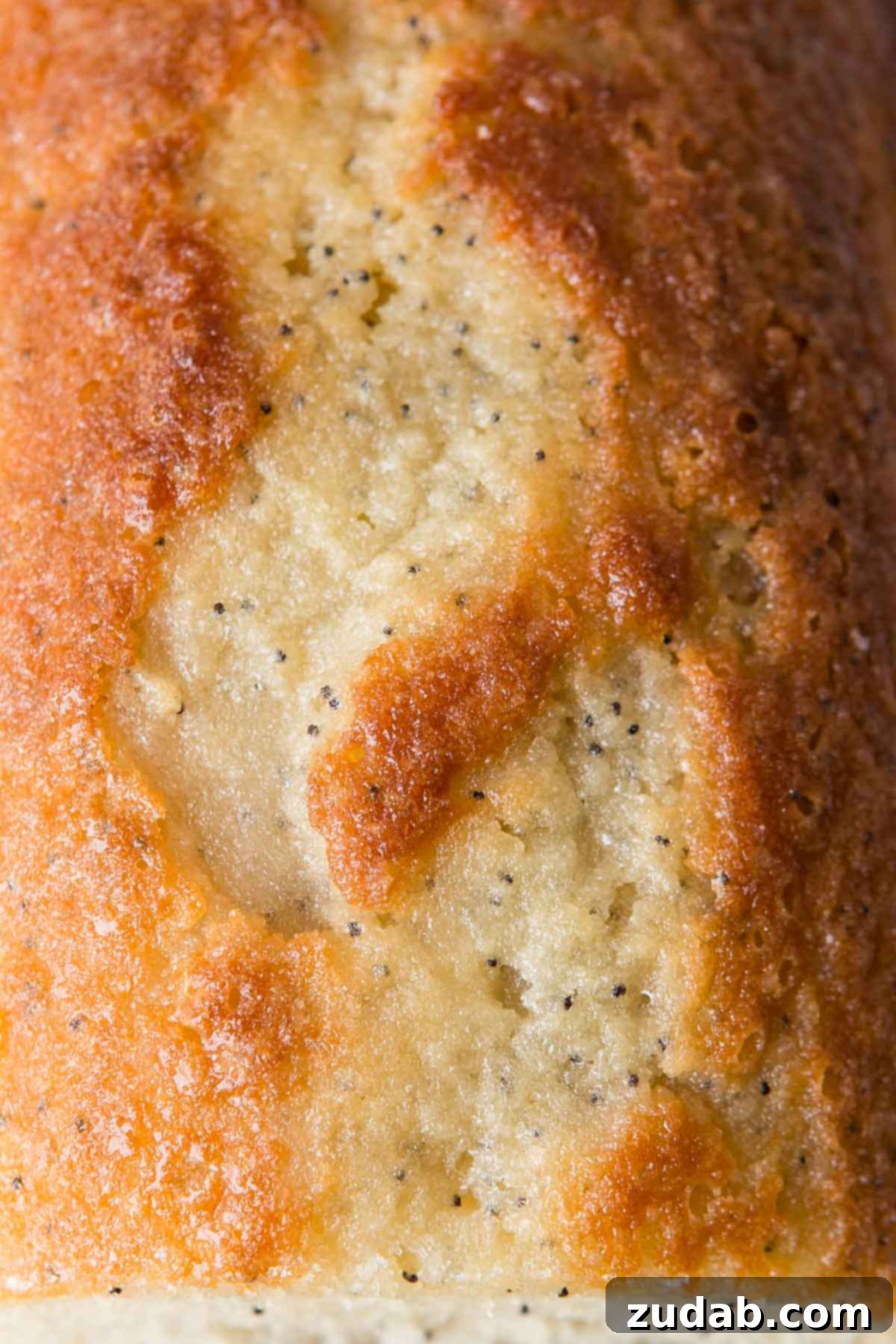 Poppy seed bread is all kinds of amazing on its own, but just wait until you make it an orange glazed poppy seed bread!