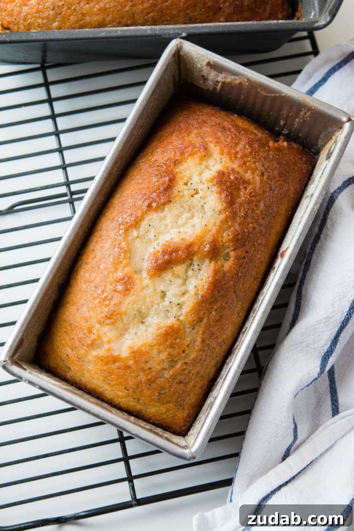 Poppy seed bread is all kinds of amazing on its own, but just wait until you make it an orange glazed poppy seed bread!