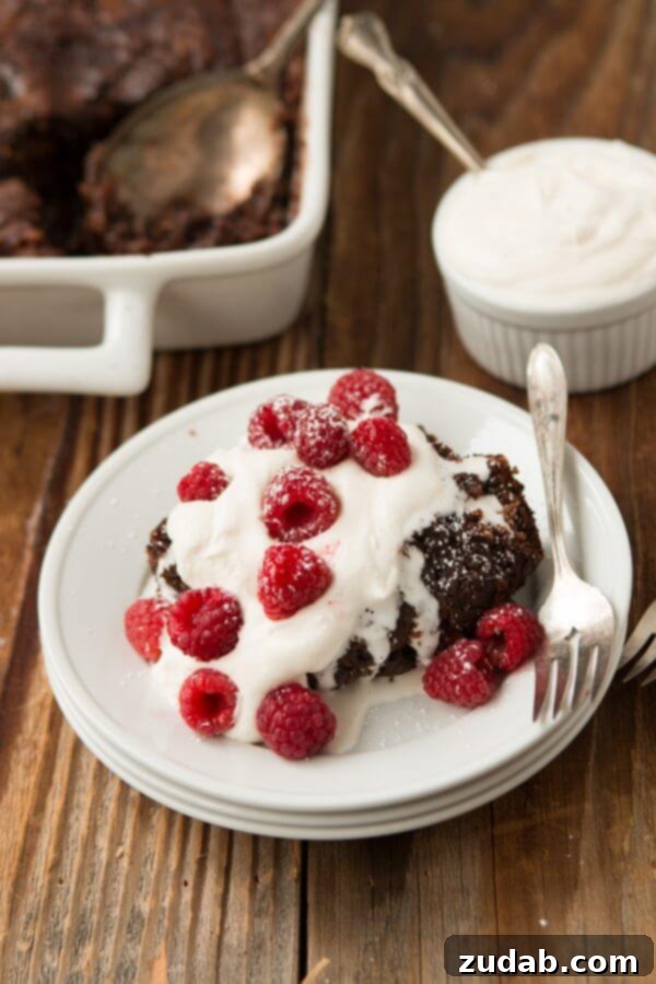 The Ultimate Chocolate Oat Hot Fudge Pudding Cake Indulge in the World's Best Chocolate Oat Hot Fudge Cake with a luscious gooey bottom, often called chocolate pudding cake.