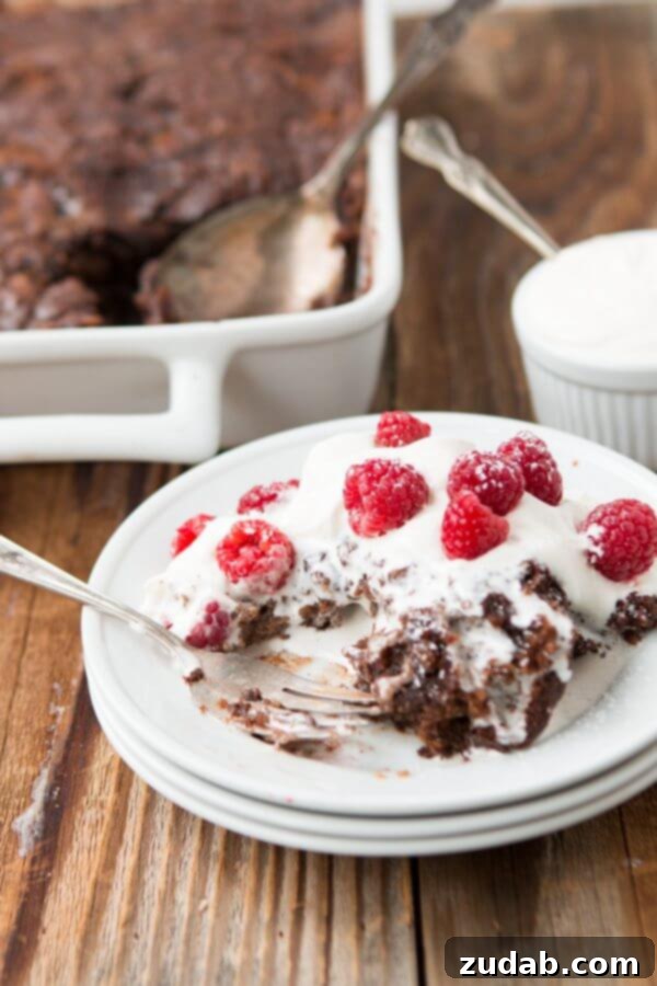 Decadent Chocolate Oat Hot Fudge Pudding Cake The World's Best Chocolate Oat Hot Fudge Cake, featuring a tempting gooey bottom for an ultimate chocolate pudding experience.