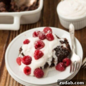 Hot Fudge Cake with that gooey bottom (sometimes called chocolate pudding cake) ohsweetbasil.com