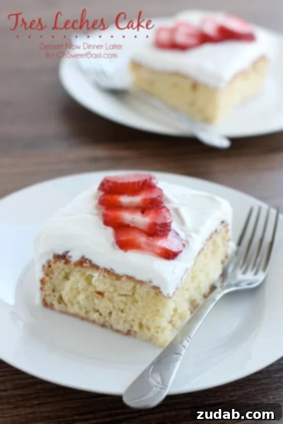 Sweetest Cake Secrets 2 Tres Leches Cake - A classic Latin American sponge cake soaked in three kinds of milk.