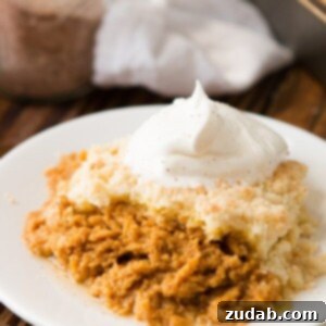 Mom's Pumpkin Pie Dump Cake ohsweetbasil.com