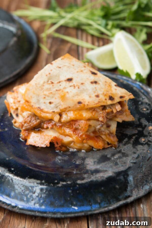 Fresh Tortillas for Perfect Sweet Pork Quesadillas Using fresh tortillas is a critical secret to making the most delicious Cafe Rio Copycat Sweet Pork Quesadillas at home.