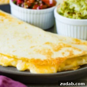 A visual representation of the best quesadilla recipe.