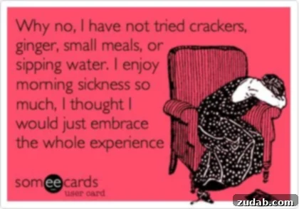 Hyperemesis Gravidarum: The Food Aversion and Starvation Experience Hyperemesis Gravidarum: The Food Aversion and Starvation Experience