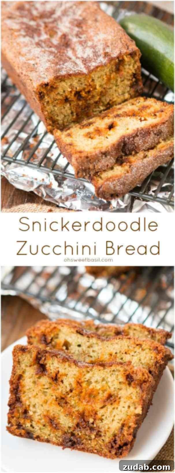 Cinnamon-Sugar Swirl Zucchini Bread 4 Snickerdoodle Zucchini Bread close-up, highlighting its soft texture and cinnamon sugar topping.
