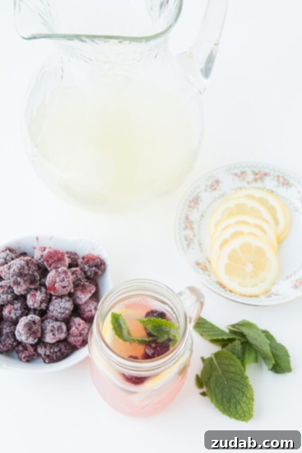Sparkling Blackberry Lemonade without gobs of sugar! ohsweetbasil.com A close-up of a glass of Sparkling Blackberry Lemonade garnished with fresh mint and lemon slices.