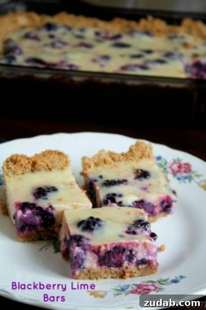 Bubbly Blackberry Lemonade 5 Blackberry Lime Bars, a delicious dessert recipe idea.