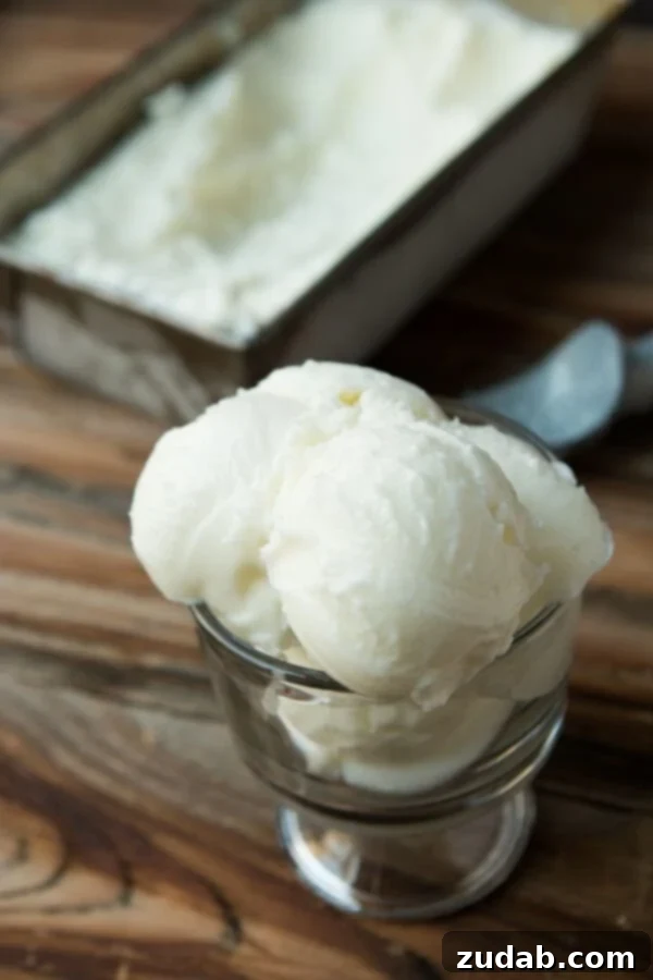 Only 2 Ingredients for Your Favorite Frozen Treat Key to Creaminess: Full-Fat Plain Yogurt for Copycat Frozen Yogurt