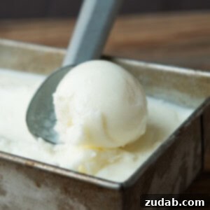 copycat red mango frozen yogurt ohsweetbasil.com