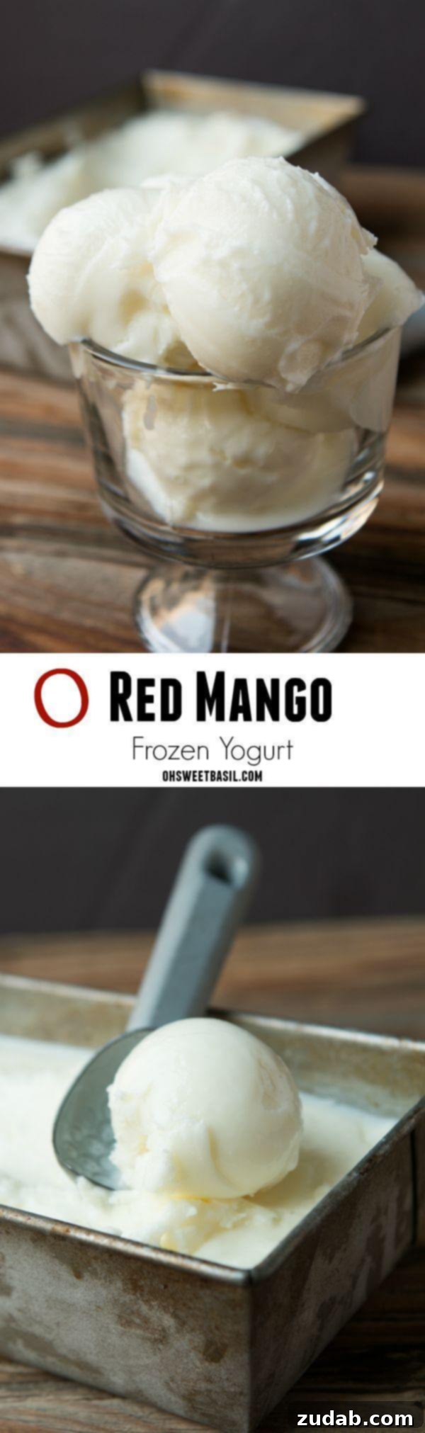 Homemade Red Mango Froyo Recipe 3 It's only 2 ingredients and tastes just like Red Mango Frozen Yogurt! Ohsweetbasil.com