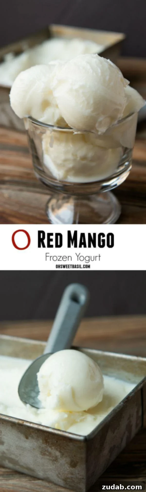Homemade Red Mango Froyo Recipe 4 Copycat Red Mango Frozen Yogurt: A Simple & Delicious Homemade Treat