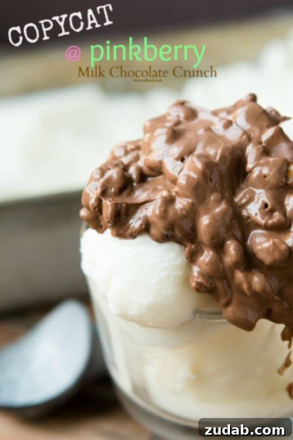 Stop the bus and make this tonight! Pinkberry Milk Chocolate Crunch Topping! ohsweetbasil.com Homemade Pinkberry Milk Chocolate Crunch Topping