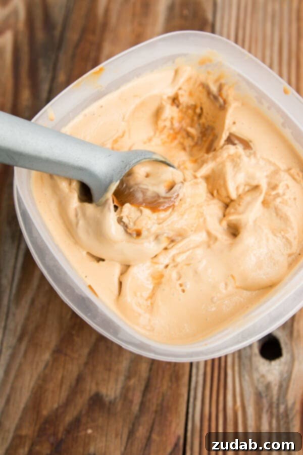 Homemade Pinkberry Milk Chocolate Crunch Sauce 5 THE BEST dulce de leche ice cream
