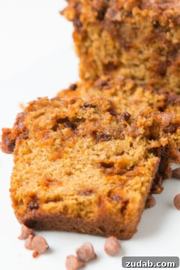 Loaded Cinnamon Chip Pumpkin Bread A beautifully baked loaf of loaded cinnamon chip pumpkin bread, golden brown and glistening with melted cinnamon chips.