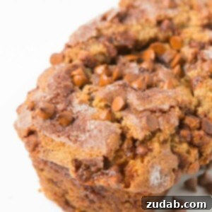 Indulgent Cinnamon Chip Pumpkin Bread 2 A delicious loaf of Loaded Cinnamon Chip Pumpkin Bread with a sprinkling of cinnamon sugar and more chips on top.