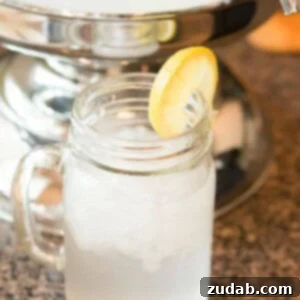 Lindy's Lemon Ice: A refreshing non-alcoholic lemon drink, perfect for parties and showers, served with pebble ice and lemon slices.