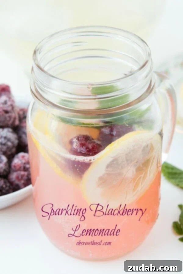 Lindy's Zesty Lemon Ice 3 Sparkling Blackberry Lemonade without gobs of sugar! A healthy and refreshing alternative.