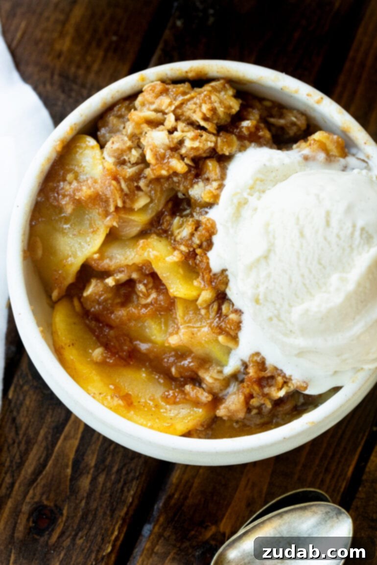 The Ultimate Homemade Apple Crisp 2 A beautifully presented bowl of warm apple crisp, generously topped with a melting scoop of vanilla ice cream, ready to be enjoyed. This image captures the essence of a perfect fall dessert.