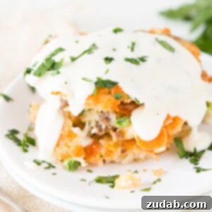 These cheesy ground beef and rice fried cakes are perfect for using up leftovers and make a quick, family-friendly dinner. ohsweetbasil.com