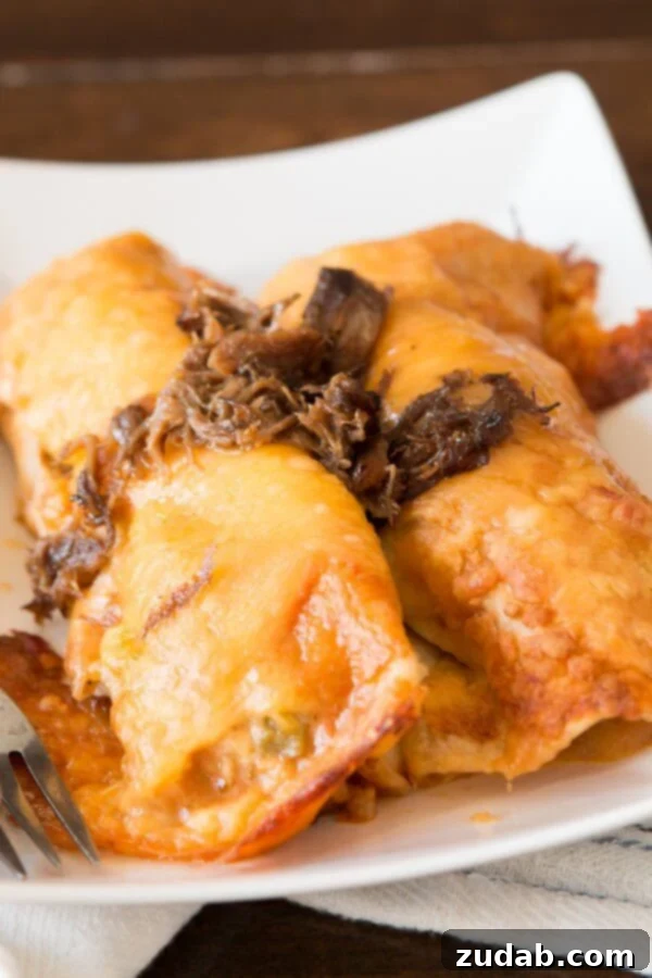 Leftovers can be amazing, especially when salsa con queso is involved! Shredded beef enchiladas are on the menu tonight! Close-up of freshly rolled Shredded Beef Enchiladas in a baking dish, ready for sauce and cheese.