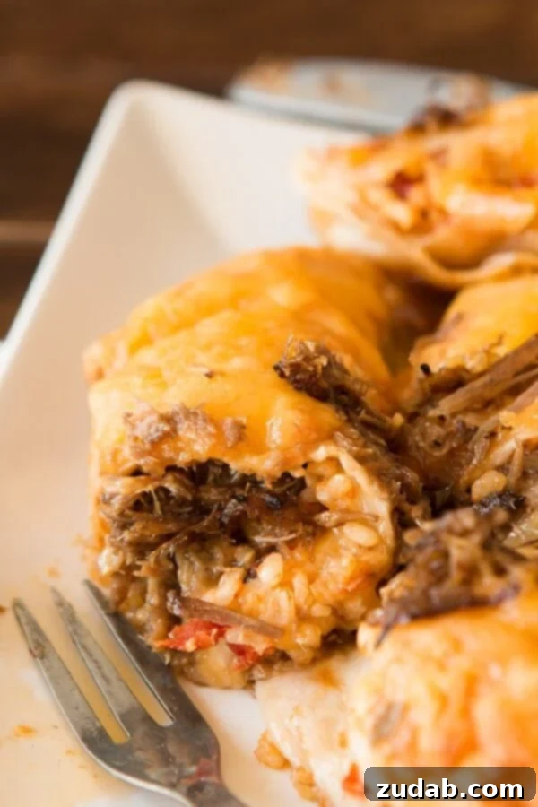 Leftovers can be amazing, especially when salsa con queso is involved! Shredded beef enchiladas are on the menu tonight! Hands preparing Shredded Beef Enchiladas, placing meat and fillings onto a tortilla.