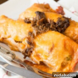 Slow-Cooked Beef Enchiladas 3 Easy shredded beef enchiladas ohsweetbasil.com