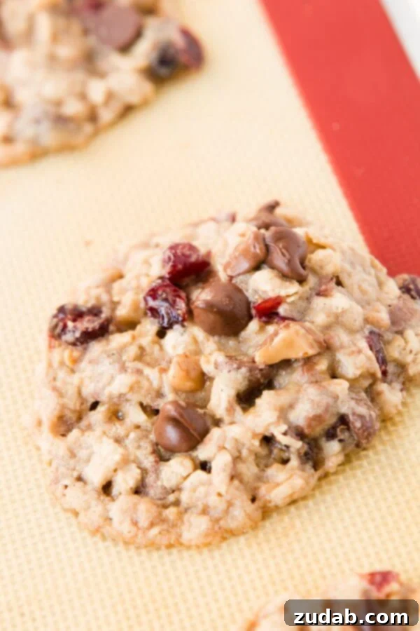Oh my gosh, these are my new favorite cookies!! Craisin toffee oatmeal chippers! ohsweetbasil.com