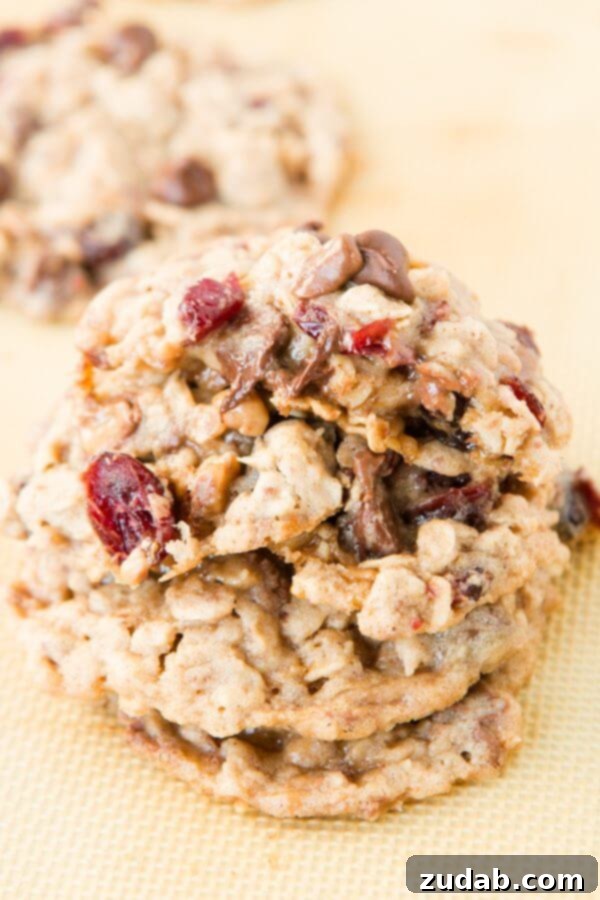 Oh my gosh, these are my new favorite cookies!! Craisin toffee oatmeal chippers! ohsweetbasil.com