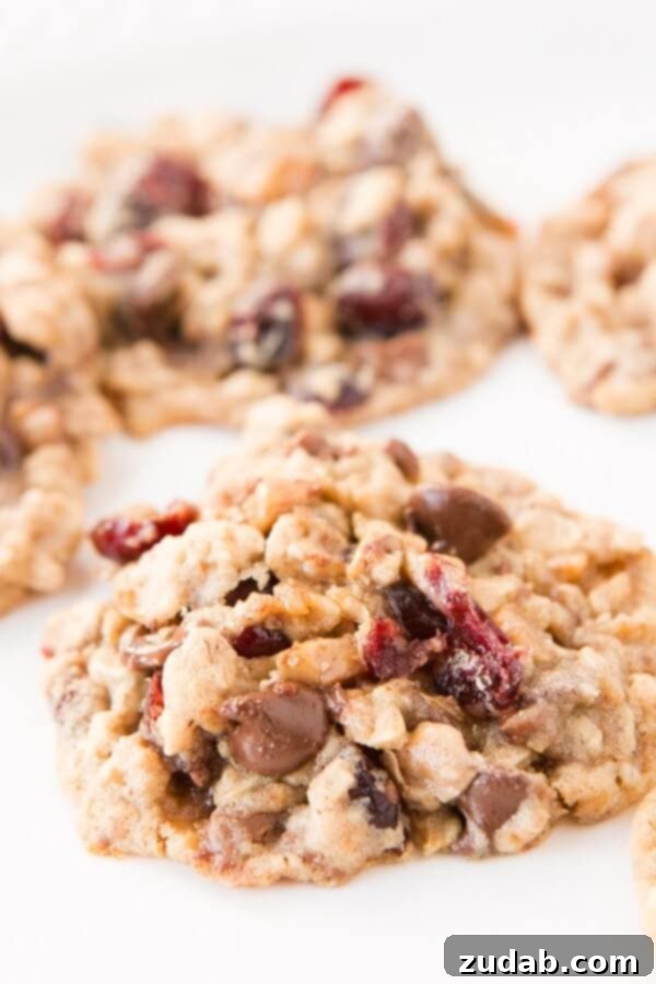 My new favorite cookie loaded with oats, chocolate chips, milk chocolate toffee and craisins! ohsweetbasil.com