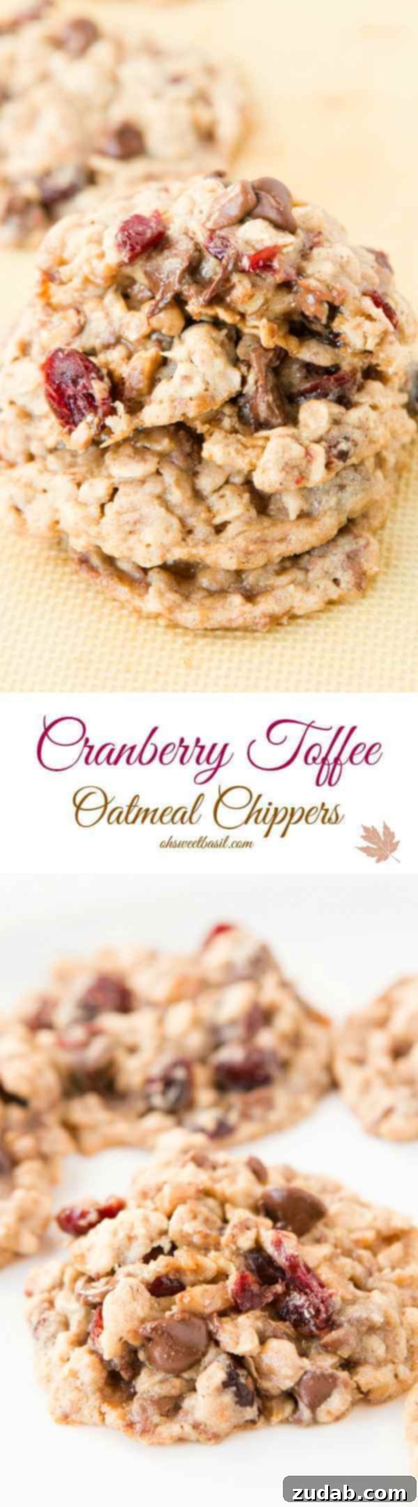 Our family is usually all about the chocolate chip but these craisin toffee oatmeal chippers are our new favorite cookie! ohsweetbasil.com